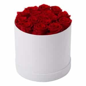 16 immortal rose flower gift white box