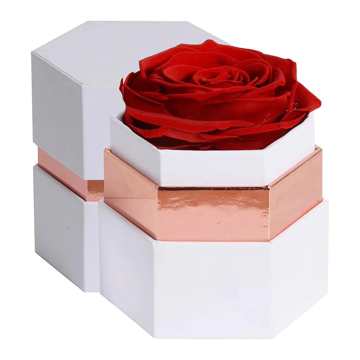 Experience Roses 2023 Morden Single Rose White Box - sweetie-roses - China Most ...