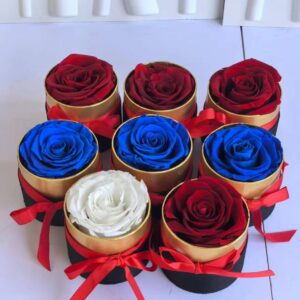 different colors single preserved rose in round box