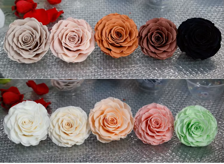 black rose manufacturer