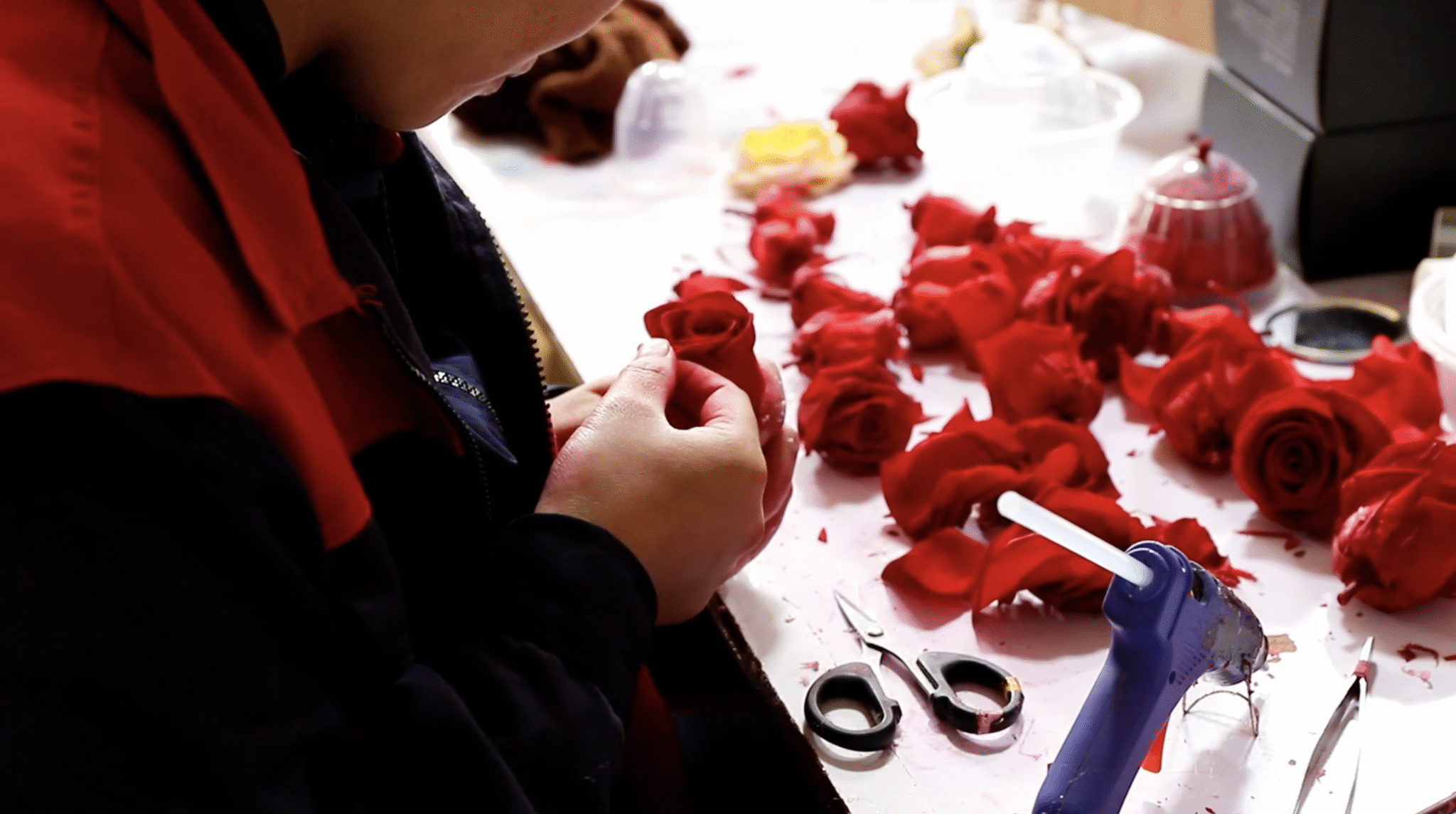Experience Roses How to Source Preserved Roses Wholesale: Trusted Tips from an Industry ...