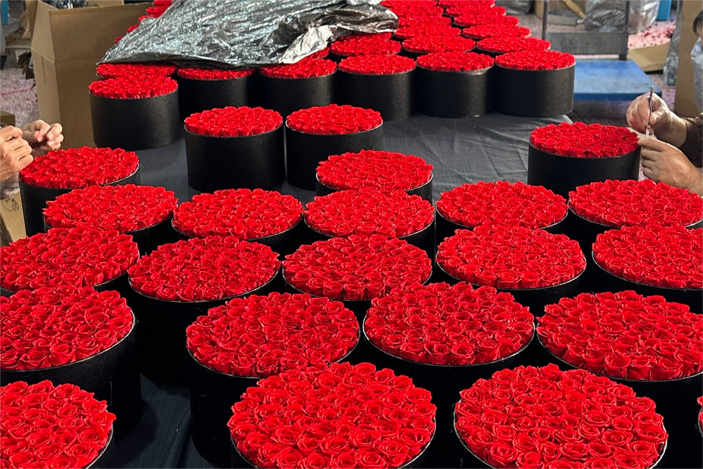 What Are Everlasting Flowers: Everything You Need To Know About ...