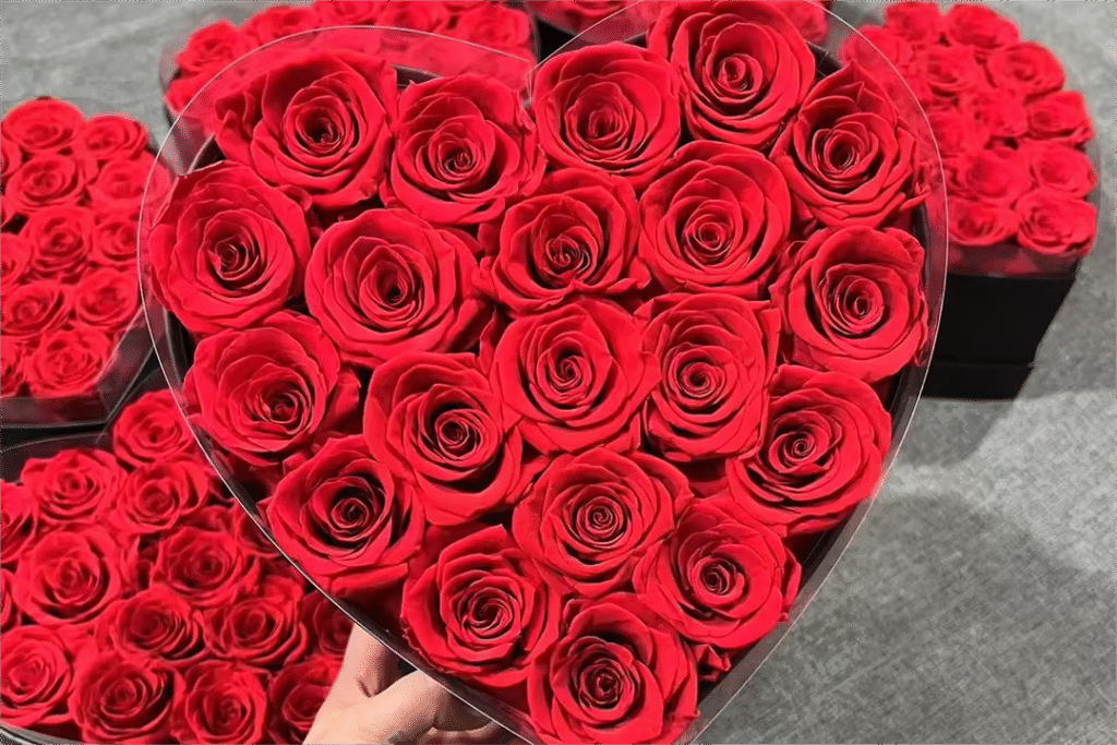 Experience Roses What Are Everlasting Flowers: Everything You Need To Know About ...