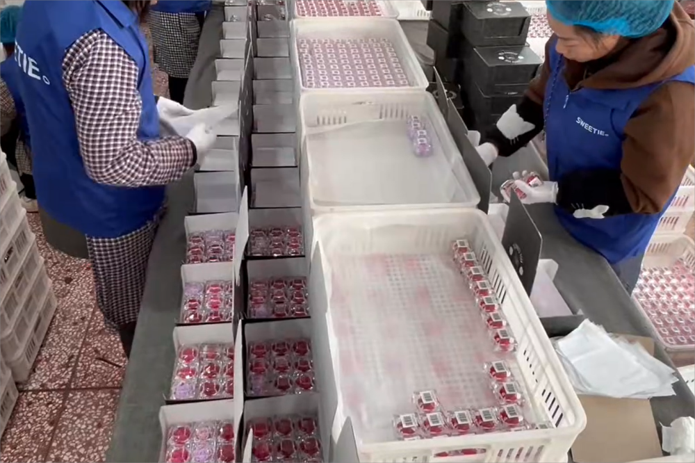 rose ring box manufacturer